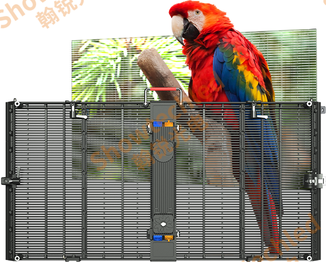 55336854ba21408729352e485e48ad13.png